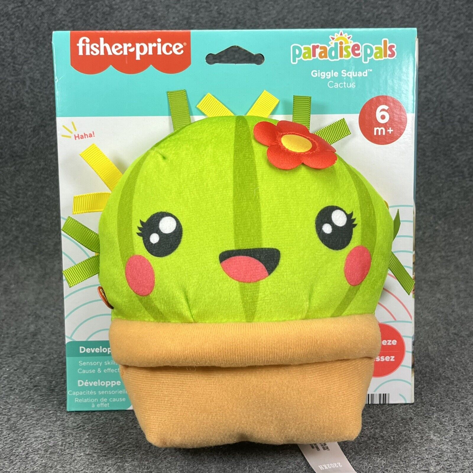 Fisher Price Cactus Paradise Pals Giggle Squad Plush with Sounds Development Toy